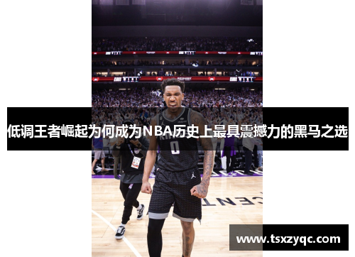 低调王者崛起为何成为NBA历史上最具震撼力的黑马之选