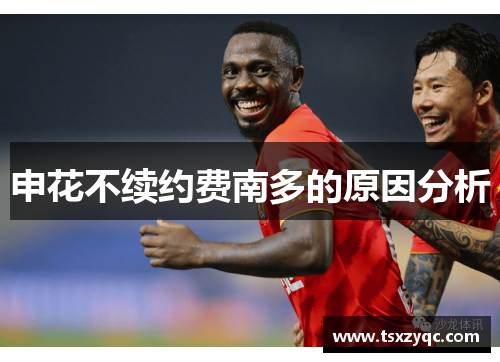 申花不续约费南多的原因分析