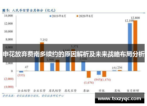 申花放弃费南多续约的原因解析及未来战略布局分析
