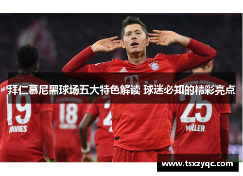 拜仁慕尼黑球场五大特色解读 球迷必知的精彩亮点