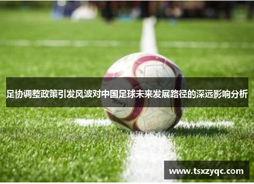 足协调整政策引发风波对中国足球未来发展路径的深远影响分析