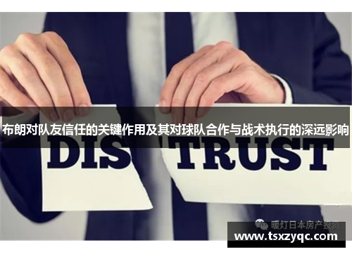 布朗对队友信任的关键作用及其对球队合作与战术执行的深远影响