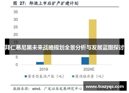 拜仁慕尼黑未来战略规划全景分析与发展蓝图探讨
